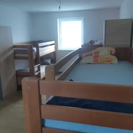 Novi Sad - Novi Sad *