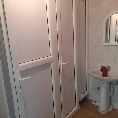 Novi Sad - Novi Sad *