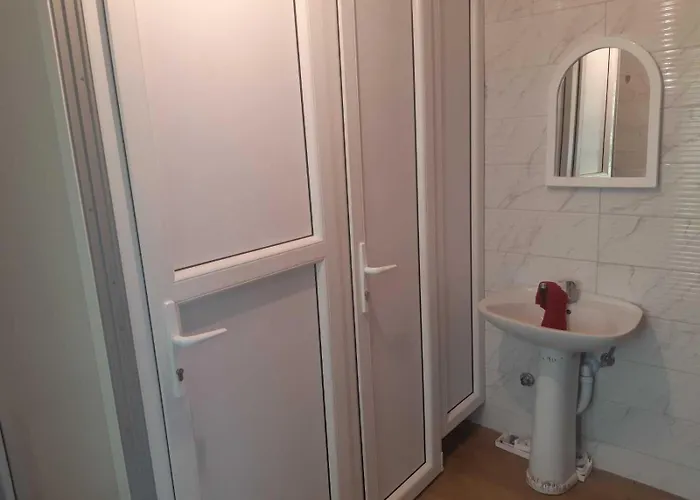 Novi Sad - Novi Sad *